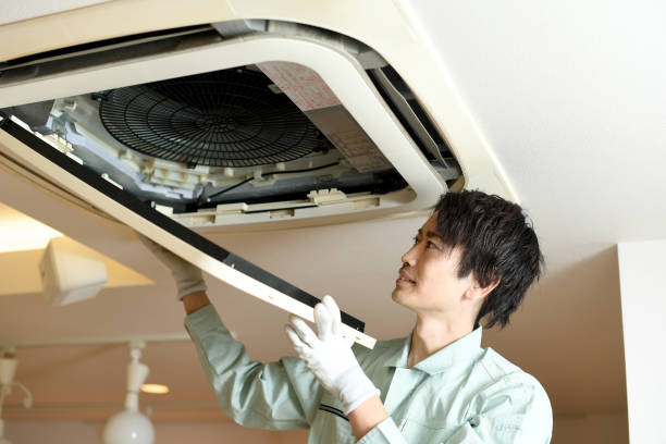 Best Affordable Air Duct Cleaning  in Mount Plymouth, FL