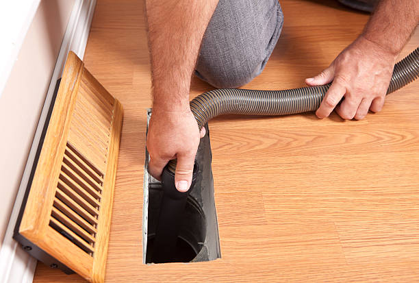 Best Professional Duct Cleaning Services  in Mount Plymouth, FL