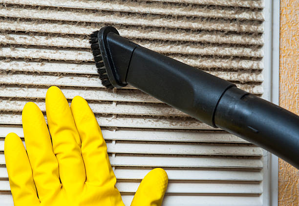 Best Air Duct Cleaning Near Me  in Mount Plymouth, FL